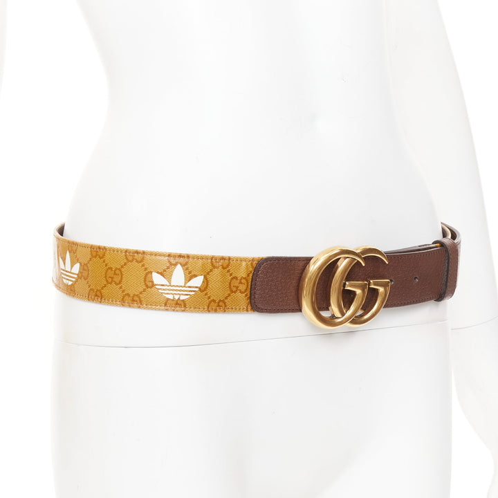 GUCCI ADIDAS 2022 GG Marmont brown coated canvas monogram white leather belt