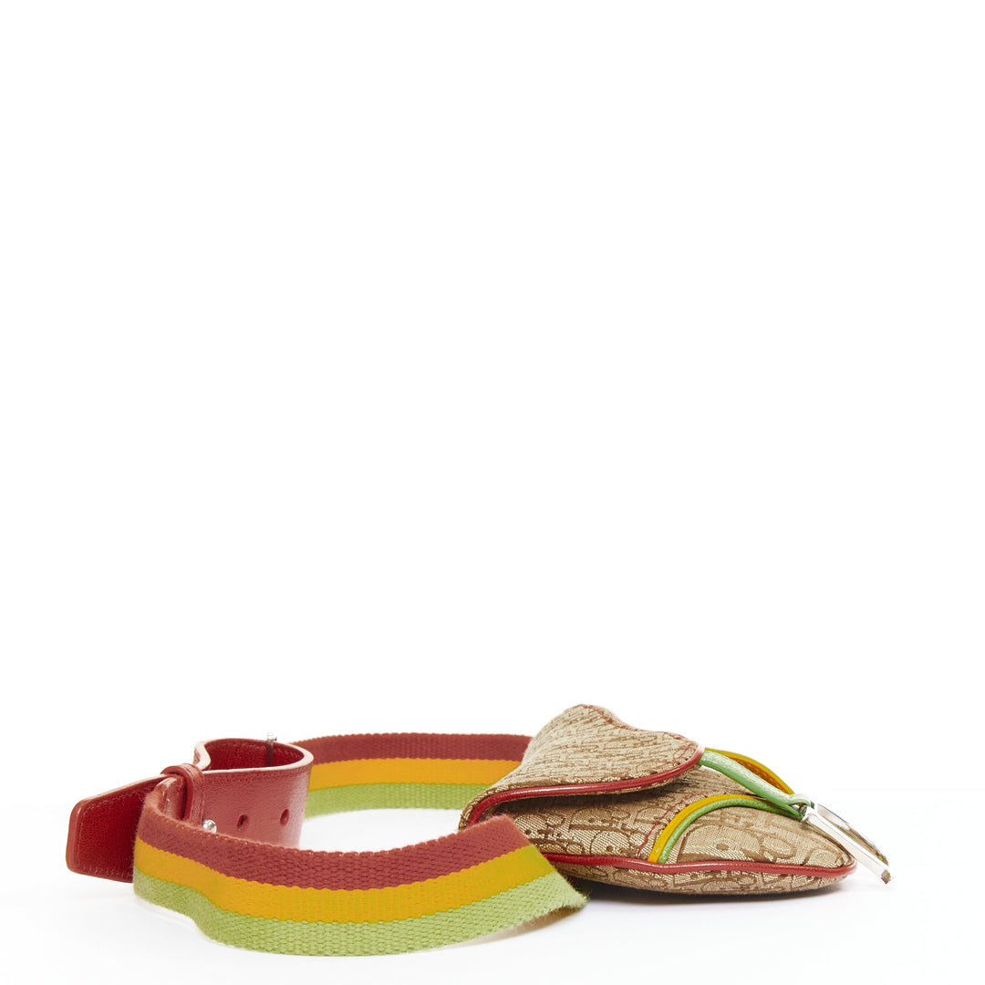 rare CHRISTIAN DIOR John Galliano 2004 Rasta Trotter monogram saddle belt bag