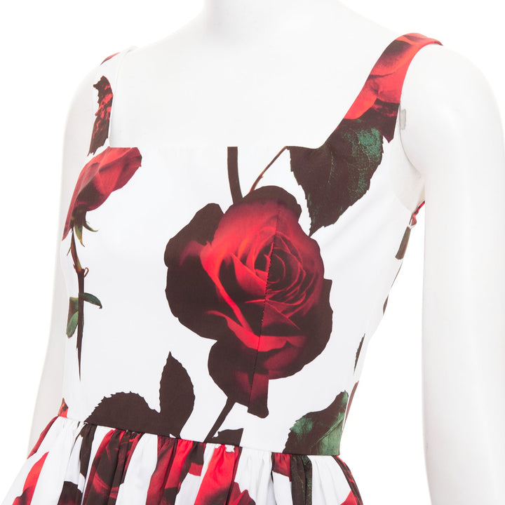 ALEXANDER MCQUEEN 2024 Tudor Rose print cotton poplin skater mini dress IT38 XS