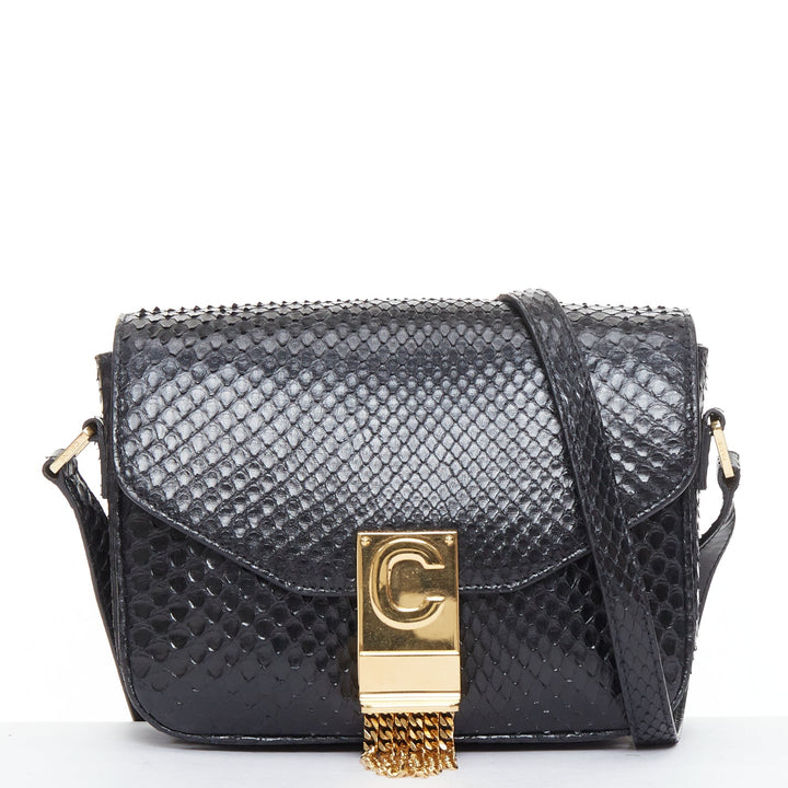 CELINE C Bag Runway black gold scaled leather fringe C clasp crossbody box bag