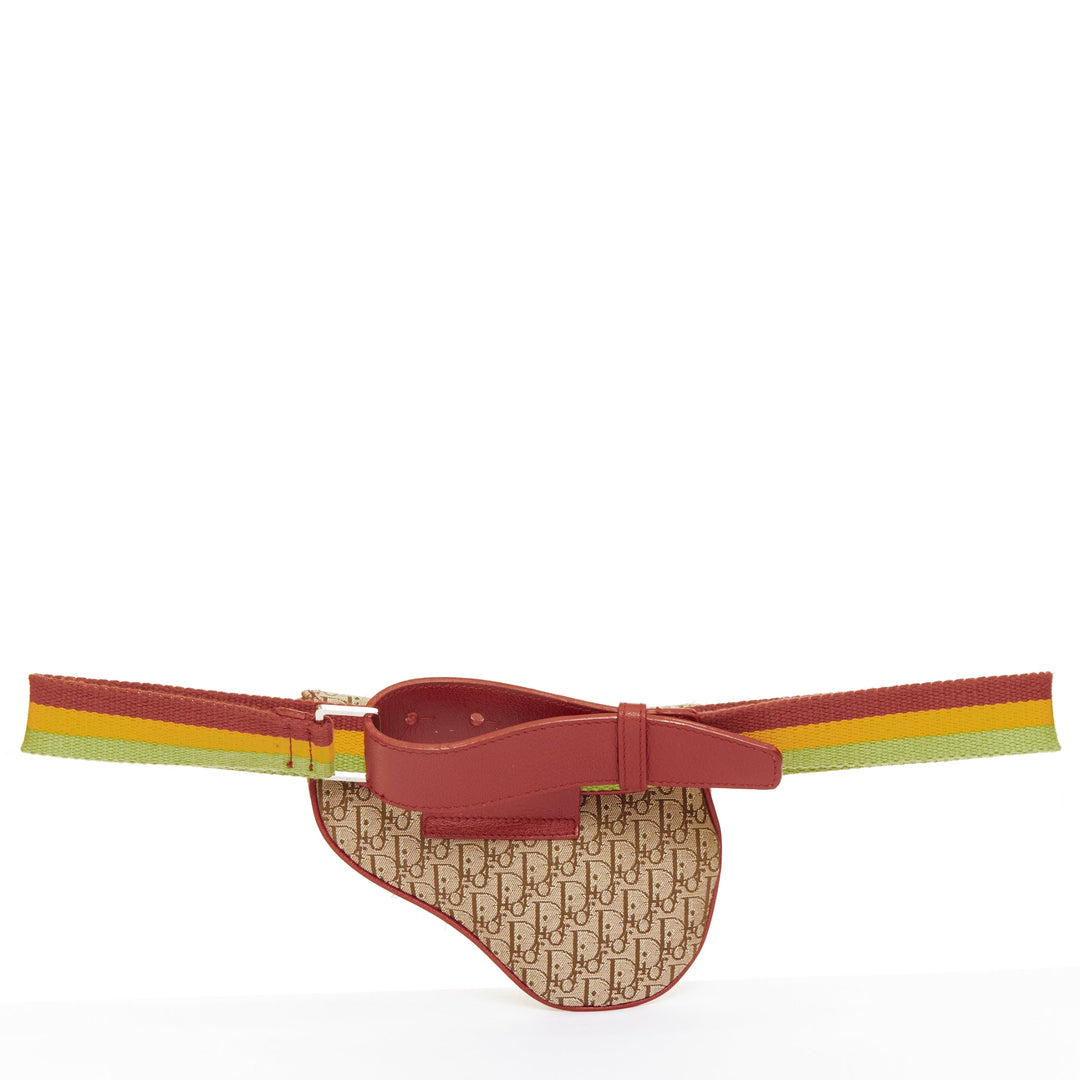 rare CHRISTIAN DIOR John Galliano 2004 Rasta Trotter monogram saddle belt bag