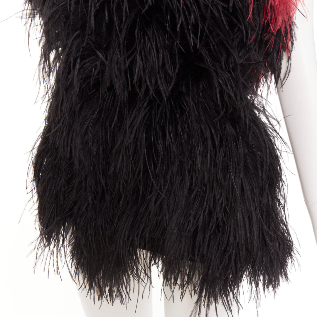 rare ALEXANDRE VAUTHIER COUTURE SS2022 Runway black red ostrich feather dress