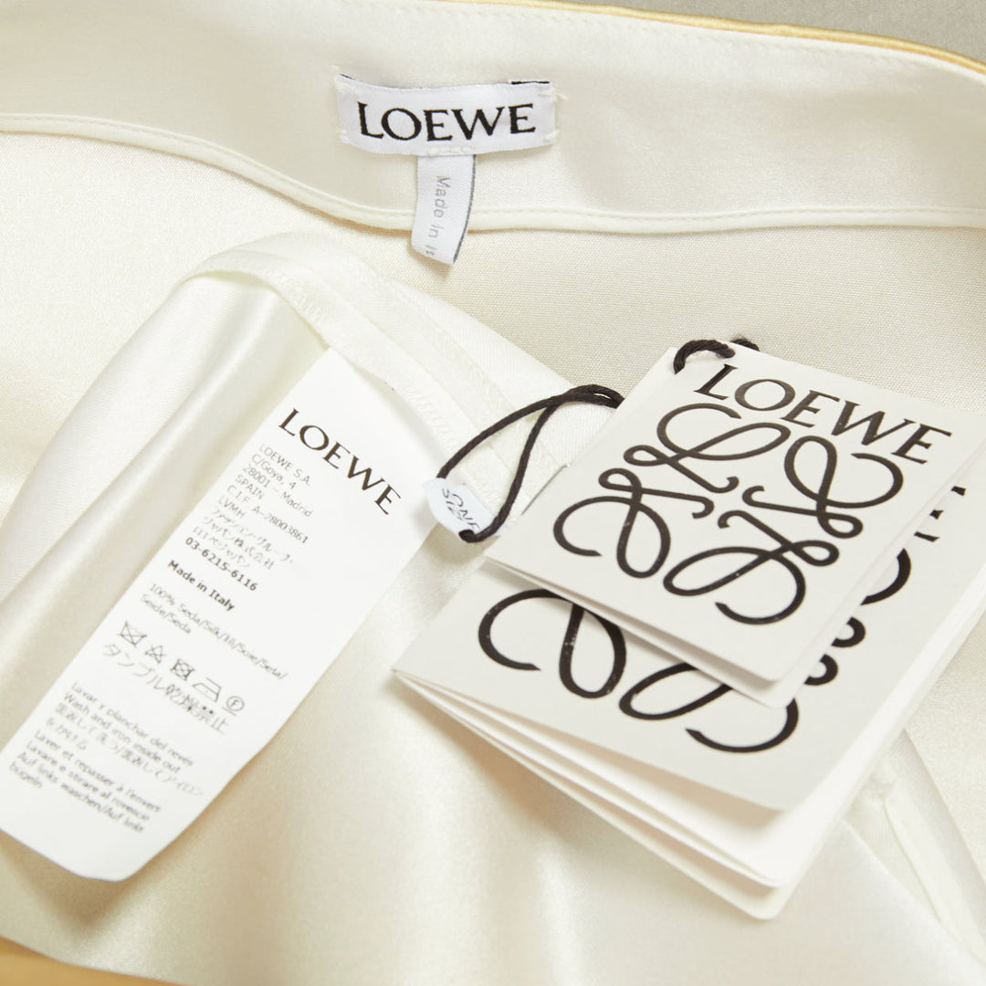 rare LOEWE JW ANDERSON 2023 Runway Trompe Loeil Blurry Trench Coat print dress