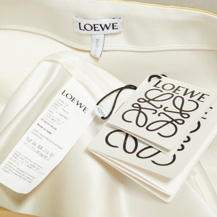 rare LOEWE JW ANDERSON 2023 Runway Trompe Loeil Blurry Trench Coat print dress