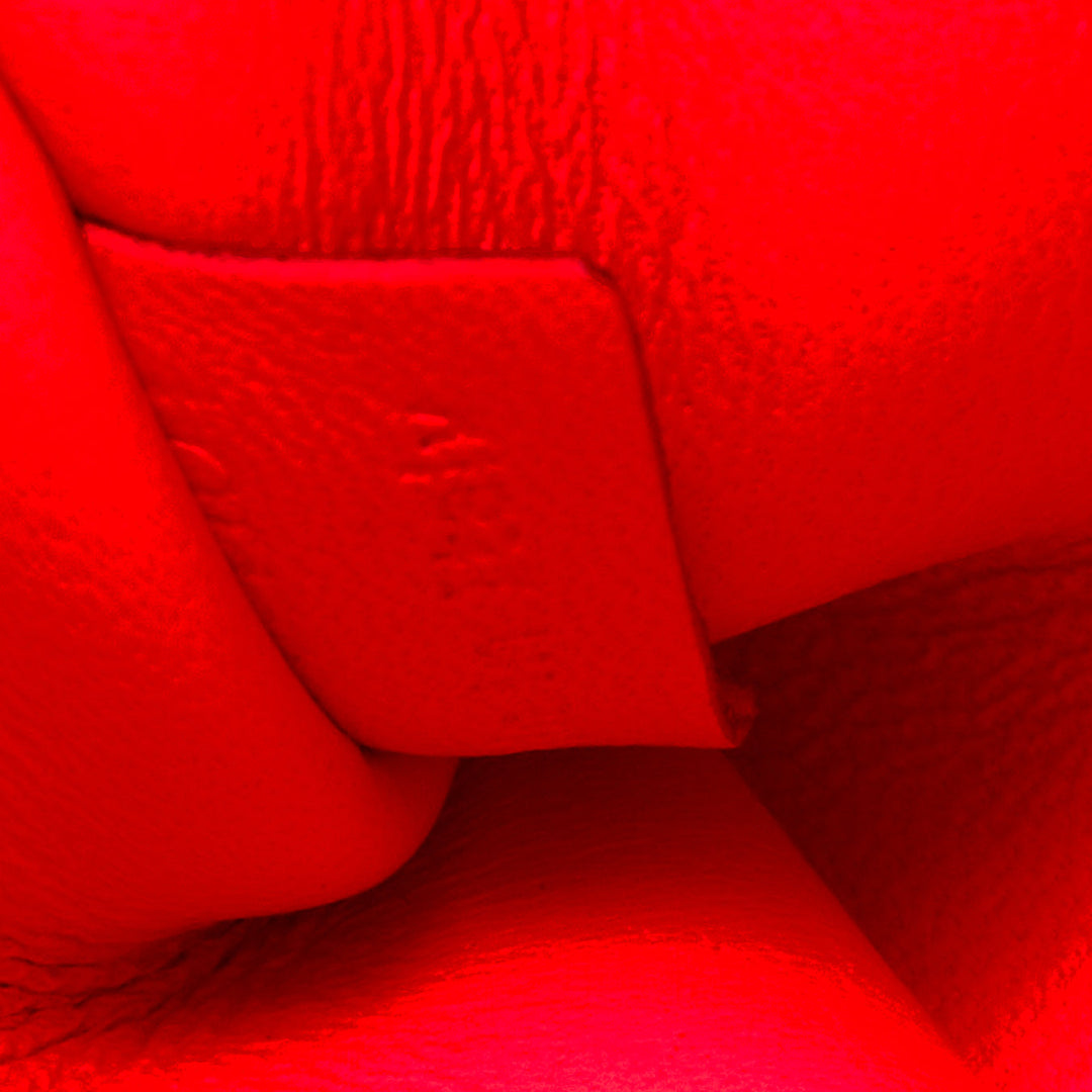 CELINE 2011 Runway Phoebe Philo I Need A Doctor neon orange matte python bag