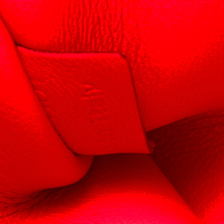 CELINE 2011 Runway Phoebe Philo I Need A Doctor neon orange matte python bag