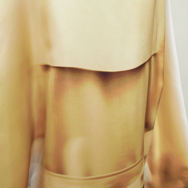 rare LOEWE JW ANDERSON 2023 Runway Trompe Loeil Blurry Trench Coat print dress