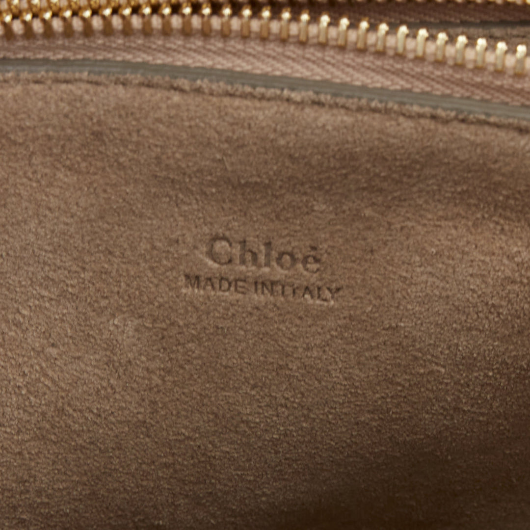 rare CHLOE 2016 Runway Faye Medium  multicolor tapestry leather  shoulder bag
