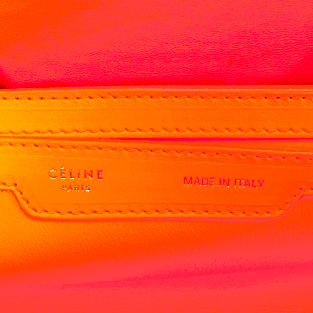 CELINE 2011 Runway Phoebe Philo I Need A Doctor neon orange matte python bag