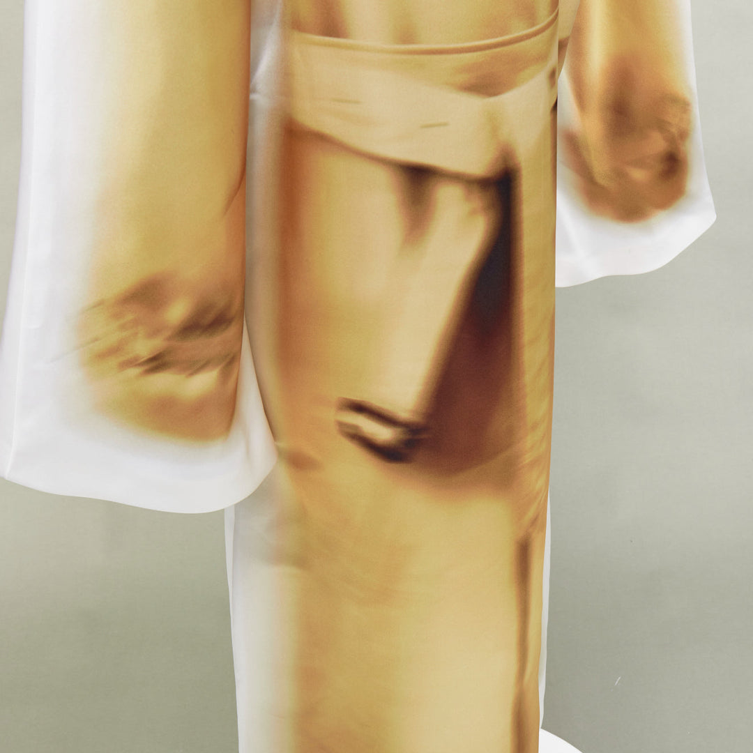 rare LOEWE JW ANDERSON 2023 Runway Trompe Loeil Blurry Trench Coat print dress