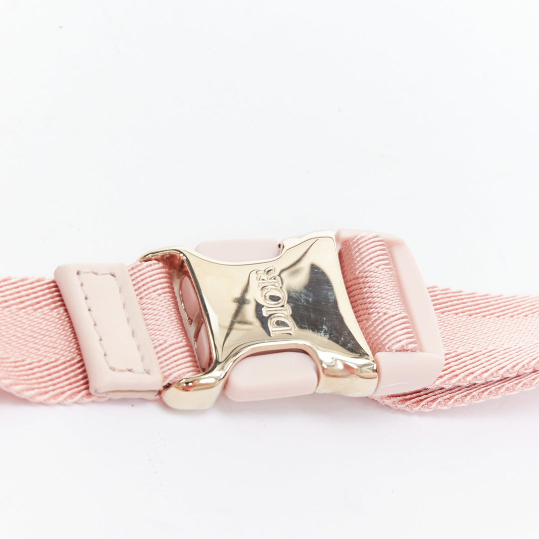 DIOR 2022 pink Toile De Jouy print gold logo canvas belt bag